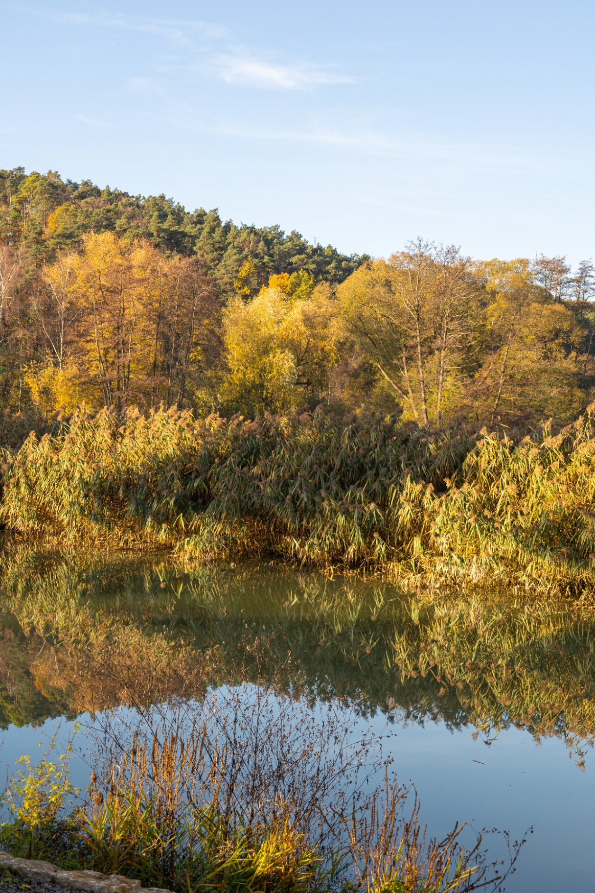 Weiher bei Priesendorf im goldenen Herbstlicht