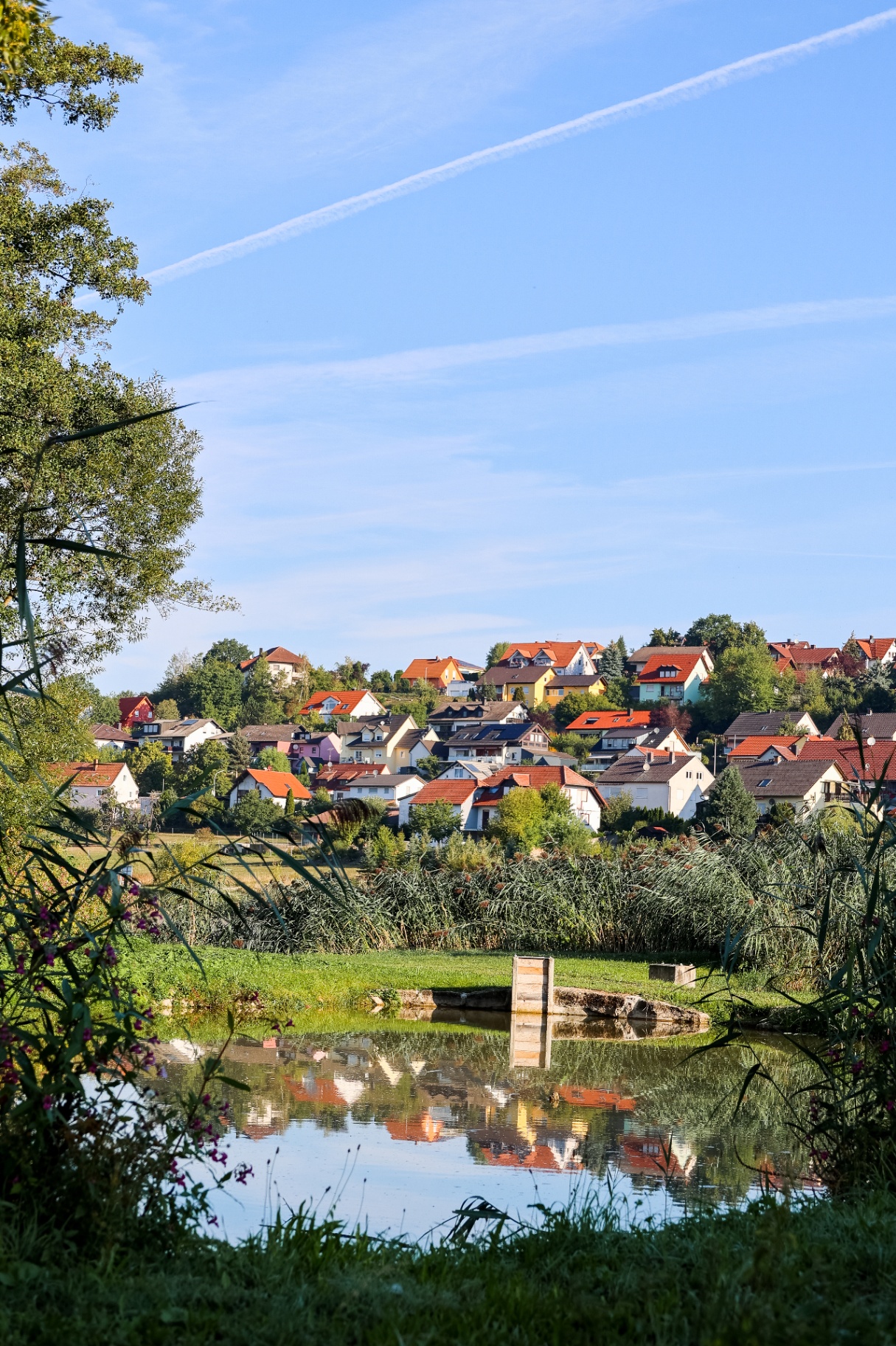 Blick über den Weiher auf die Häuser von Priesendorf